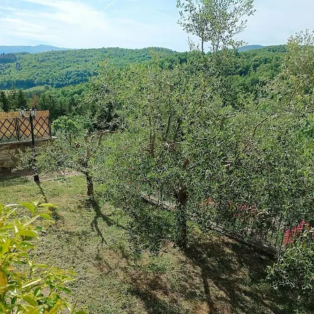 A Casa Di Amelia Holiday home